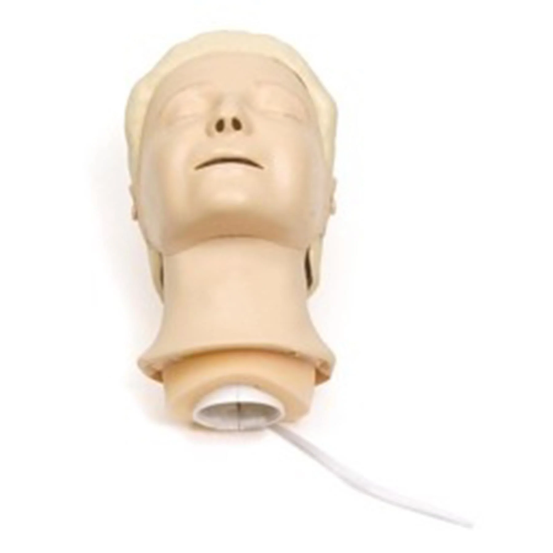 Resusci Anne Complete Head